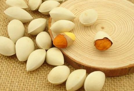 銀杏果的功效與作用及食用方法-易網健康<a href=http://www.xllyou.com/jkys/ target=_blank class=infotextkey>養生</a>網 銀杏果的功效與作用及食用方法