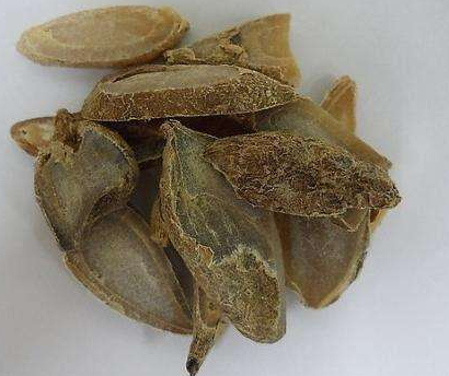 郁金的功效與作用及禁忌