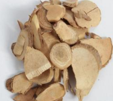 烏藥的功效與作用及禁忌_副作用及食用方法-易網健康<a href=http://www.xllyou.com/jkys/ target=_blank class=infotextkey>養生</a>網 烏藥的功效與作用及禁忌_副作用及食用方法