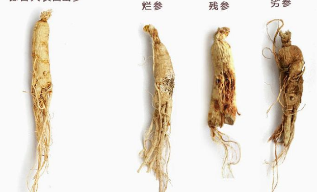 人參的副作用及禁忌-易網健康<a href=http://www.xllyou.com/jkys/ target=_blank class=infotextkey>養生</a>網 人參的副作用及禁忌