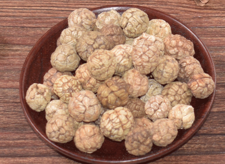 大草寇的功效與作用-易網(wǎng)健康<a href=http://www.xllyou.com/jkys/ target=_blank class=infotextkey>養(yǎng)生</a>網(wǎng) 大草寇的功效與作用