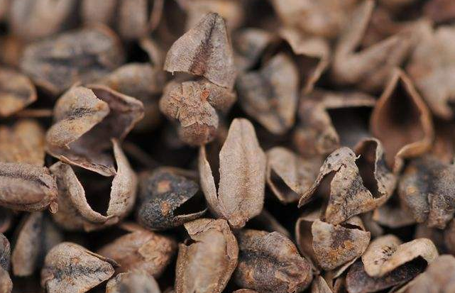 熬夜上火怎么辦?減少熬夜預防這種疾病-易網健康<a href=http://www.xllyou.com/jkys/ target=_blank class=infotextkey>養(yǎng)生</a>網 熬夜上火怎么辦?減少熬夜預防這種疾病