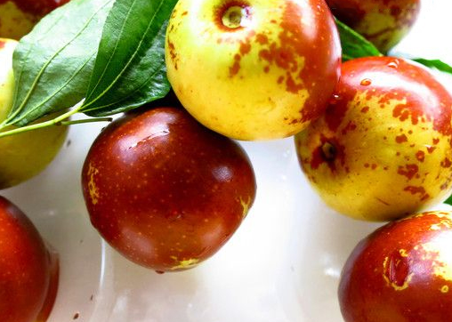 新鮮棗子的功效與作用-易網健康<a href=http://www.xllyou.com/jkys/ target=_blank class=infotextkey>養生</a>網 新鮮棗子的功效與作用