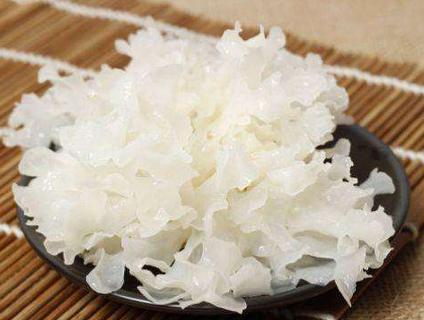 銀耳的功效與作用禁忌-易網<a href=http://www.xllyou.com/ target=_blank class=infotextkey>健康養生</a>網 銀耳的功效與作用禁忌