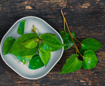 憂遁草的主治功能-易網(wǎng)健康<a href=http://www.xllyou.com/jkys/ target=_blank class=infotextkey>養(yǎng)生</a>網(wǎng) 憂遁草的主治功能