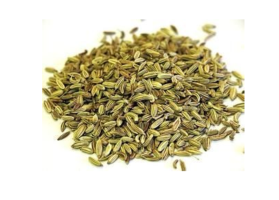 茴香的功效與作用禁忌-易網健康<a href=http://www.xllyou.com/jkys/ target=_blank class=infotextkey>養生</a>網 茴香的功效與作用禁忌