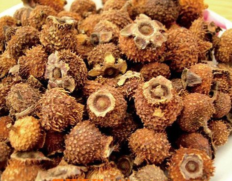 石斛的禁忌人群-易網(wǎng)健康<a href=http://www.xllyou.com/jkys/ target=_blank class=infotextkey>養(yǎng)生</a>網(wǎng) 石斛的禁忌人群