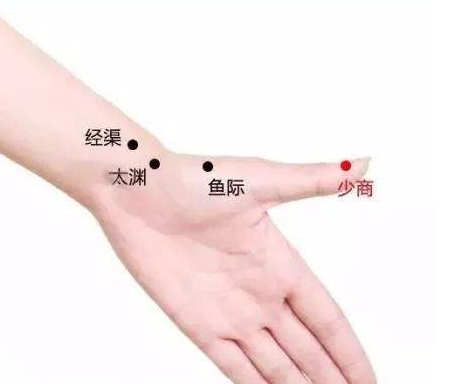少商穴的準確位置圖 少商穴的功效與作用-易網(wǎng)健康<a href=http://www.xllyou.com/jkys/ target=_blank class=infotextkey>養(yǎng)生</a>網(wǎng) 少商穴的準確位置圖 少商穴的功效與作用