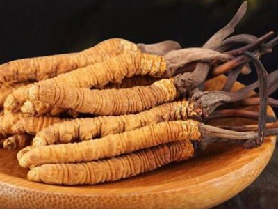 尿蛋白最好的中成藥