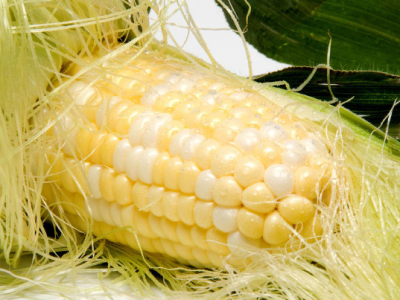 哮喘七種食物碰不得