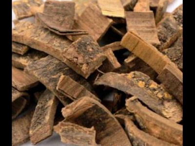 苦連樹皮的功效與作用及禁忌