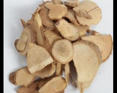 烏藥的功效與作用及禁忌_副作用及食用方法