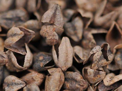 熬夜上火怎么辦？減少熬夜預防這種疾病