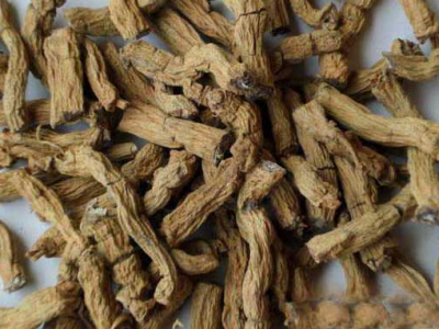 巴戟的功效與作用禁忌