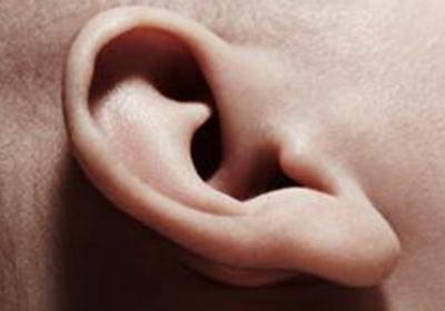 耳朵里面上長了一個肉疙瘩