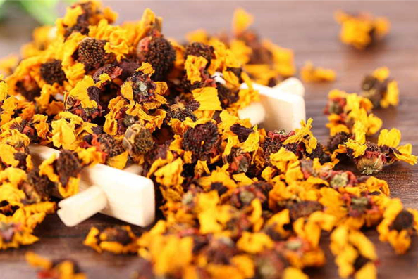 【菊花茶的搭配喝法】菊花茶搭配表