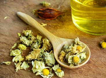 女人長期性喝菊花茶好嗎