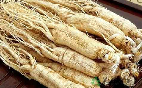 哪些人群不宜吃人參