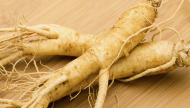 人參適合什么季節吃