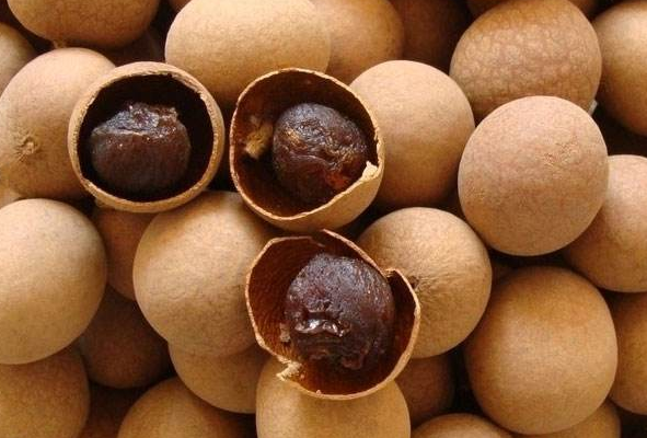 桂圓的功效與作用 桂圓食用禁忌-易網健康<a href=http://www.xllyou.com/jkys/ target=_blank class=infotextkey>養生</a>網 桂圓的功效與作用 桂圓食用禁忌