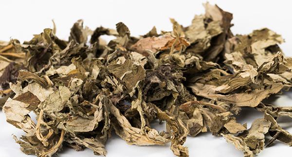 治療關節炎的13個偏方,治療關節炎的土方法-易網健康<a href=http://www.xllyou.com/jkys/ target=_blank class=infotextkey>養生</a>網 治療關節炎的13個偏方,治療關節炎的土方法