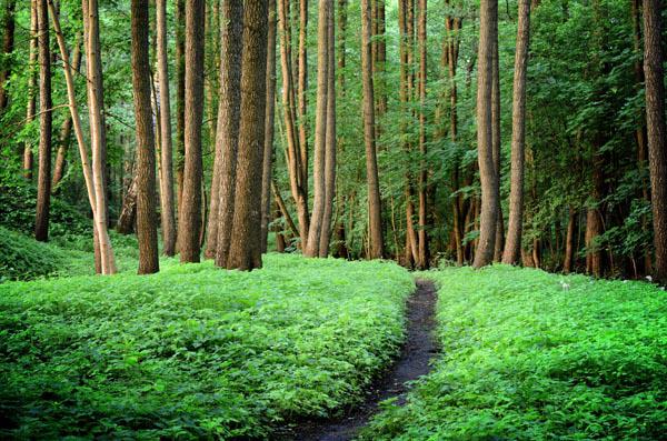 中藥治療面癱偏方?中醫治療面癱多長時間-易網健康<a href=http://www.xllyou.com/jkys/ target=_blank class=infotextkey>養生</a>網 中藥治療面癱偏方?中醫治療面癱多長時間