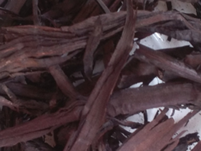 治療濕疹的中藥有哪些?8大治濕疹的特效中藥