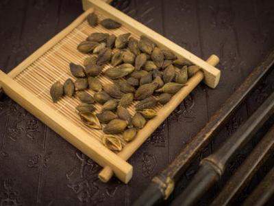 蒼耳子怎么吃才沒(méi)有毒?100度高溫能去毒性