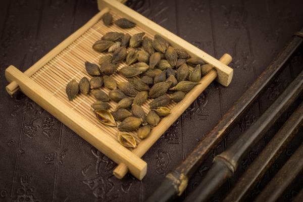 蒼耳草可以治什么病【6種最好的偏方】痢疾風(fēng)濕鼻炎腸胃炎-易網(wǎng)健康<a href=http://www.xllyou.com/jkys/ target=_blank class=infotextkey>養(yǎng)生</a>網(wǎng) 蒼耳草可以治什么病【6種最好的偏方】痢疾風(fēng)濕鼻炎腸胃炎