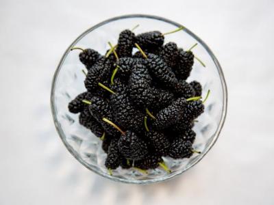 中醫10方法根治白頭發?中醫治白發最有效秘方