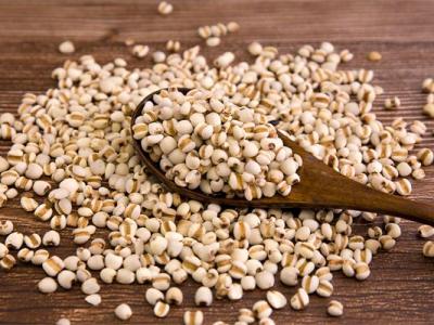 秋天怎樣去除體內濕氣?秋季去濕氣最好的方法