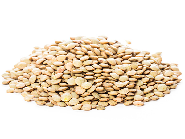 扁豆花的功效與作用?野扁豆的功效與作用-易網健康<a href=http://www.xllyou.com/jkys/ target=_blank class=infotextkey>養生</a>網 扁豆花的功效與作用?野扁豆的功效與作用