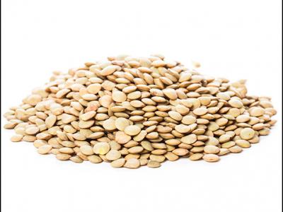 扁豆花的功效與作用？野扁豆的功效與作用