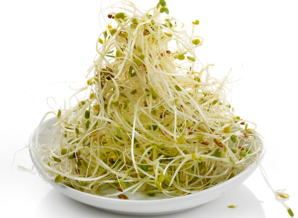 開胃的食物有哪些 不傷胃的開胃涼拌菜做法-易網(wǎng)健康<a href=http://www.xllyou.com/jkys/ target=_blank class=infotextkey>養(yǎng)生</a>網(wǎng) 開胃的食物有哪些 不傷胃的開胃涼拌菜做法