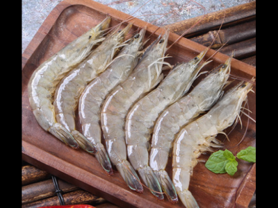 苦瓜不能和什么食物一起吃，苦瓜的禁忌搭配