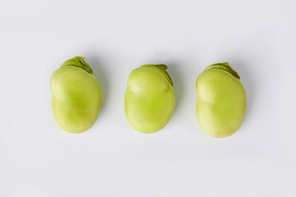 什么人不能吃蠶豆?哪些人不適合吃蠶豆-易網(wǎng)健康<a href=http://www.xllyou.com/jkys/ target=_blank class=infotextkey>養(yǎng)生</a>網(wǎng) 什么人不能吃蠶豆?哪些人不適合吃蠶豆