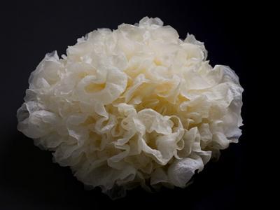 銀耳可以每天吃嗎(銀耳蓮子湯能天天喝嗎)