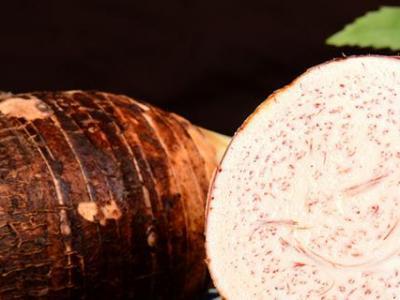 毛芋頭和芋頭的區別（毛芋頭可以做芋泥嗎）