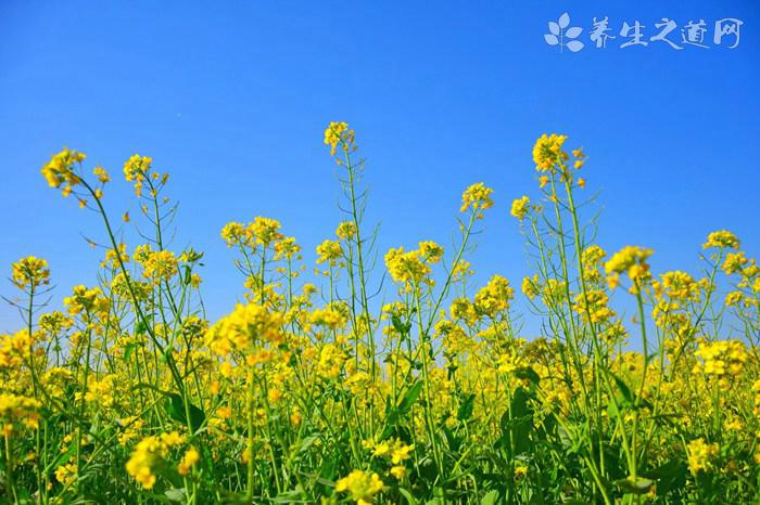 美媒：腦子太亂也能速睡