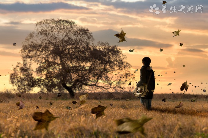 日本超酷炫幼兒園 在玩耍跌倒中學(xué)會(huì)生活-易網(wǎng)健康養(yǎng)生網(wǎng) 日本超酷炫幼兒園 在玩耍跌倒中學(xué)會(huì)生活