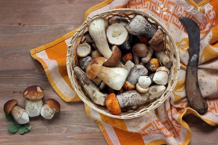 夏季開胃菜食譜-易網<a href=http://www.xllyou.com/ target=_blank class=infotextkey>健康養生</a>網 夏季開胃菜食譜