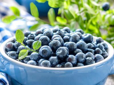 藍莓學名：藍莓，英文：Blueberry