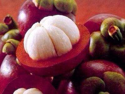 山竹學名：山竹，英文：Mangosteen
