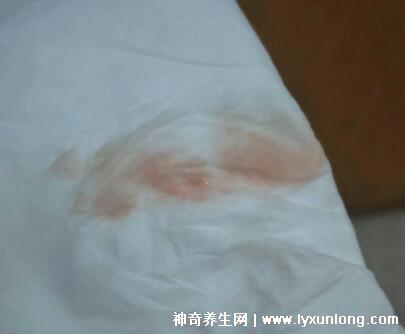 益母草是墮胎滑胎最兇的食物，誤服致胎兒畸形(大劑量的副作用)