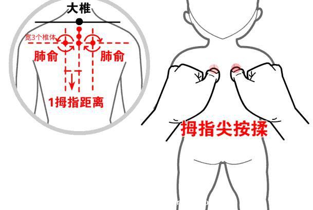 穴位肺俞的準(zhǔn)確位置圖片和功效，2個(gè)找肺俞最笨方法(止咳化痰)