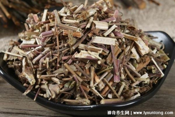 荊芥的十大神奇功效,治療風熱頭痛/咽喉腫痛(能抗過敏/消疹止癢)-易網健康<a href=http://www.xllyou.com/jkys/ target=_blank class=infotextkey>養生</a>網 荊芥的十大神奇功效,治療風熱頭痛/咽喉腫痛(能抗過敏/消疹止癢)