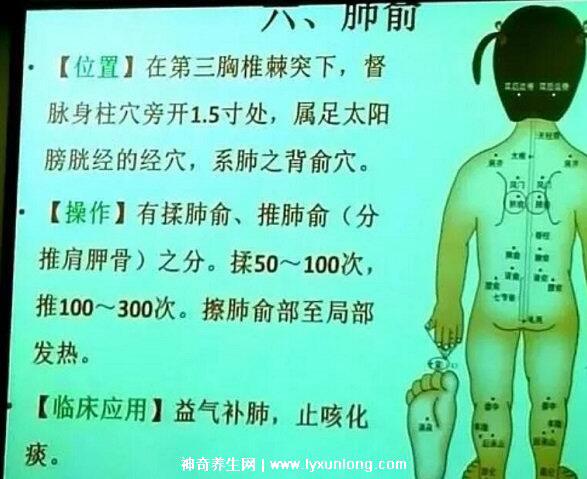 穴位肺俞的準(zhǔn)確位置圖片和功效，2個(gè)找肺俞最笨方法(止咳化痰)