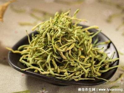 金銀花專治十種病，感冒/牙痛/痤瘡/咽喉腫痛(每天20g泡水喝好)