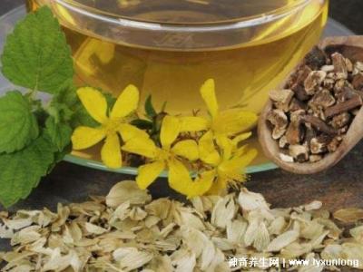 黃芪15g白術10g防風10g,可用于治療氣虛感冒(附泡茶方法)