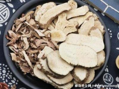 喝澤瀉白術一個月瘦多少斤,10斤起步適合肥胖癥(附減肥配方)